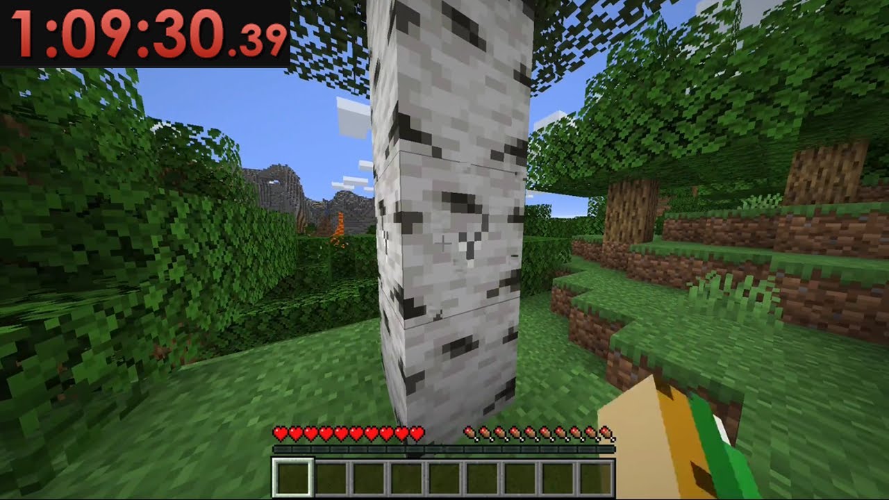 ПРОСТО ОБЫЧНАЯ ГОНКА В MINECRAFT, ПОЖАЛУЙСТА, ИГНОРИРУЙТЕ.