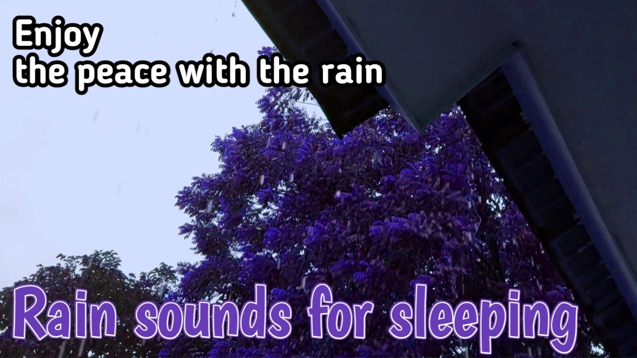 sleep better 