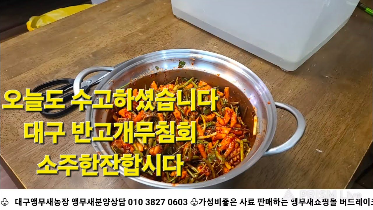 앵무새 키우는 아저씨들의 일상을 담은 대구앵무새농장 [ Birdlake ] 실시간소통라이브 - 앵무새분양 20260220