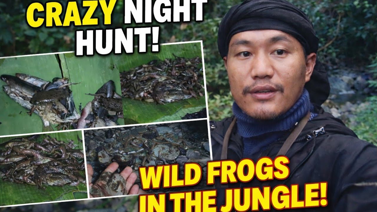 Crazy Night Hunt|| Catching Wild Frogs and small  in the Jungle||