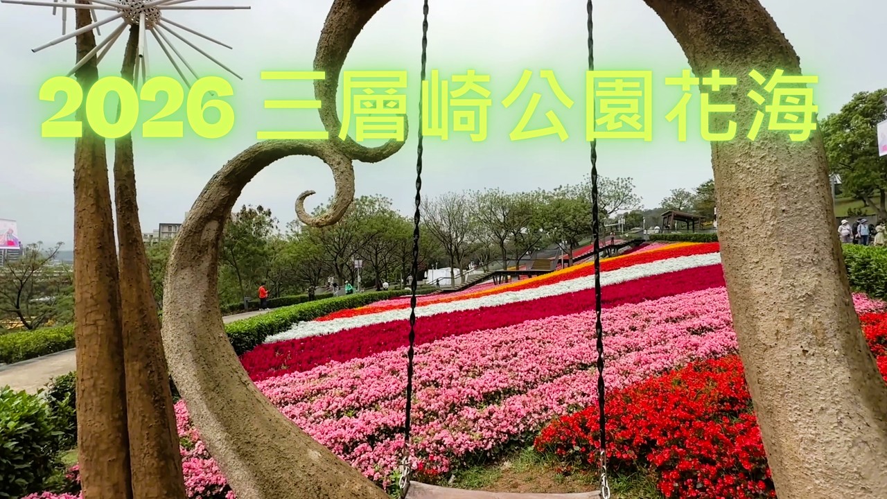 2026 台版富良野回來了！北投三層崎花海滿開實拍#三層崎公園#北投景點#台版富良野#台北花海#台北賞花#嗄嘮別公園#春日花海#免費景點#台北旅遊#花願同行#TaipeiTravel