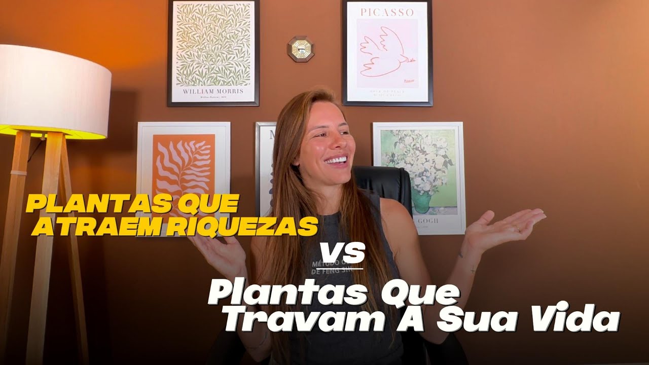 8 Melhores plantas para casa (e 3 que você precisa ter CUIDADO!)