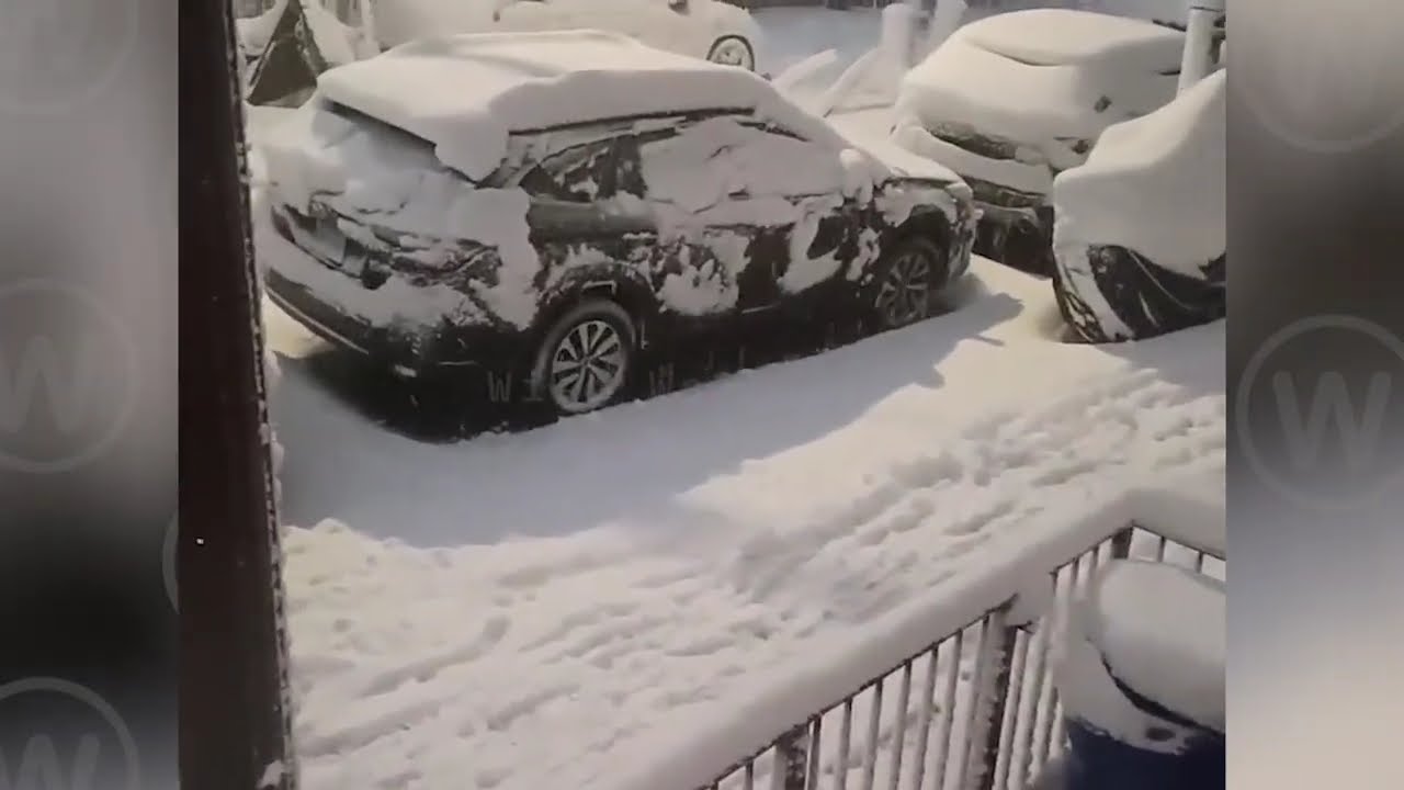 Снежный апокалипсис в Нью-Йорке! Город, погребённый под метрами снега, метель парализует Бруклин