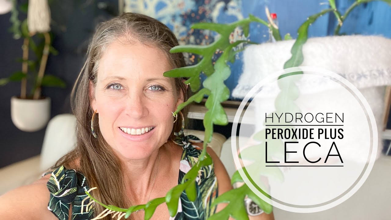 #semihydro #leca HYDROGEN PEROXIDE SAVES MY PLANTS | PLUS PLANT FAILS THIS WEEK