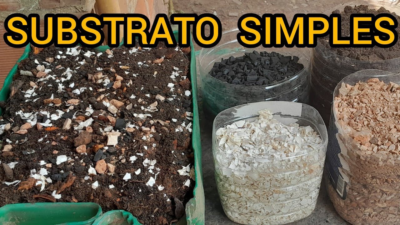 FAÇA SEU PRÓPRIO SUBSTRATO  #COM DICAS 