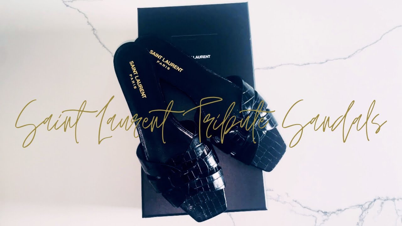 SAINT LAURENT Tribute Embossed Croc Flat Sandals Unboxing