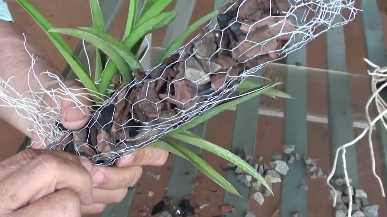 FAZENDO TOQUINHO PARA PLANTAR ORQUÍDEAS.