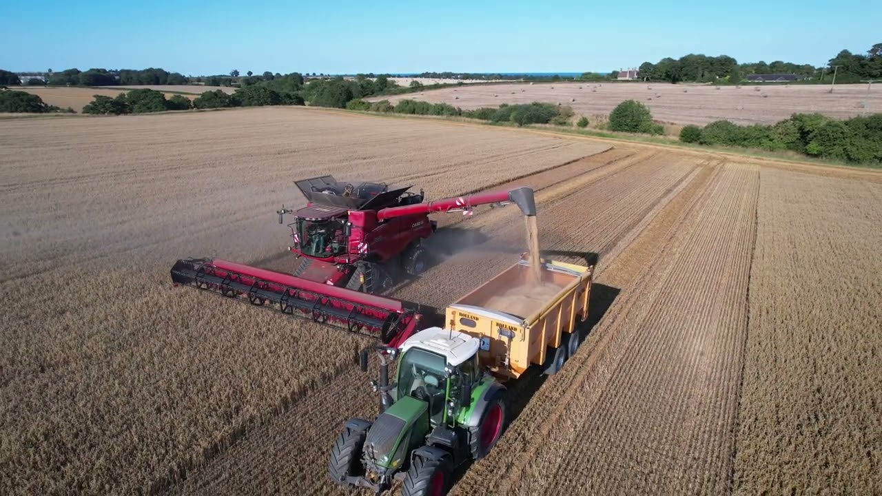 Harvesting Oats