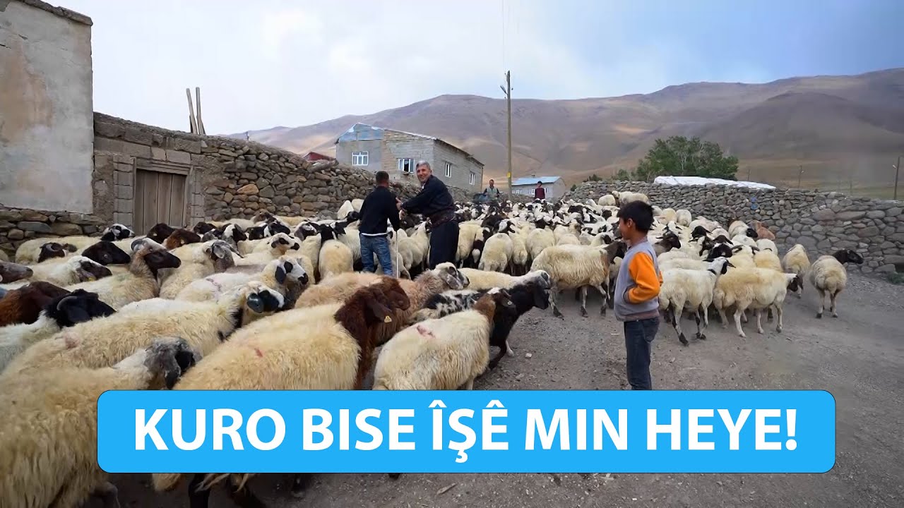 KURO BISE ÎŞÊ MIN HEYE! - DENGÊ BOTAN