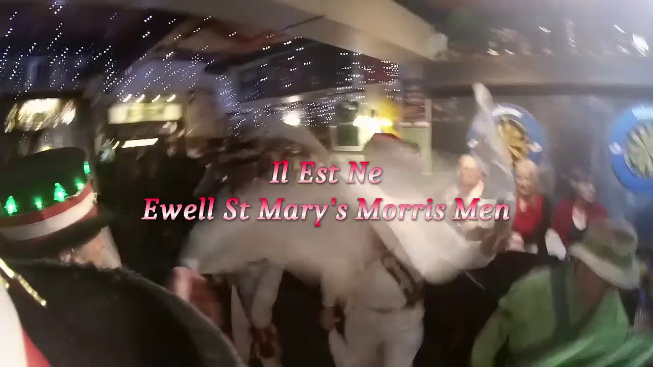 TwelfishNight