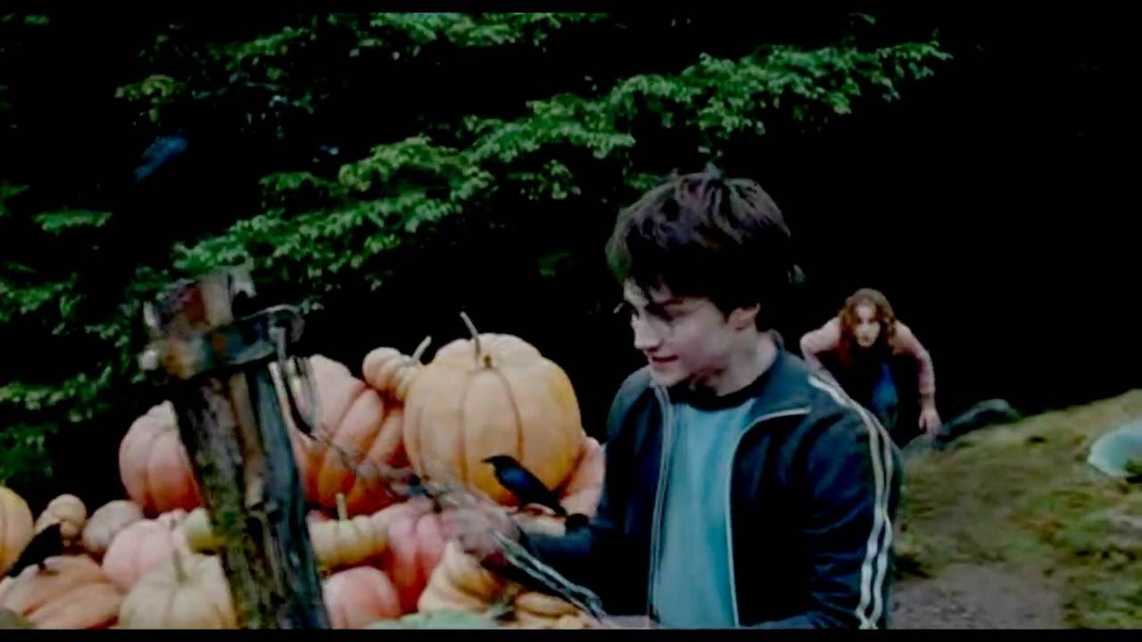 Harry & Hermione - Time After Time [ Time Turner ] for meeshell384