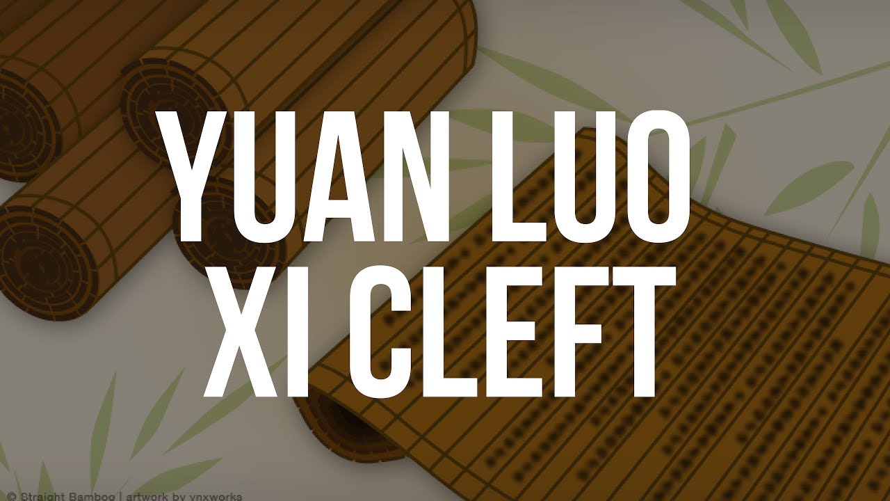 Yuan Luo Xi Cleft | NCCAOM Board Exam