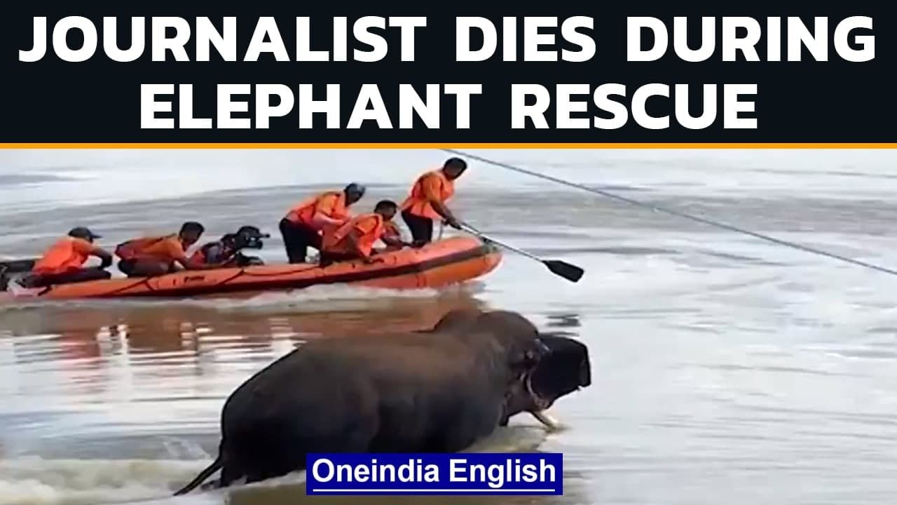 Журналист утонул в реке Маханади во время операции по спасению слона | Oneindia News