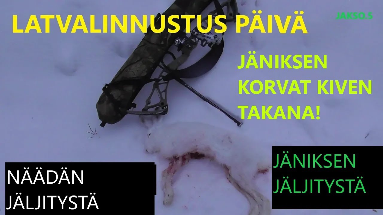 Latvalinnustus p&auml;iv&auml;/N&auml;&auml;d&auml;n ja j&auml;niksen j&auml;ljityst&auml; TALJAJOUSELLA