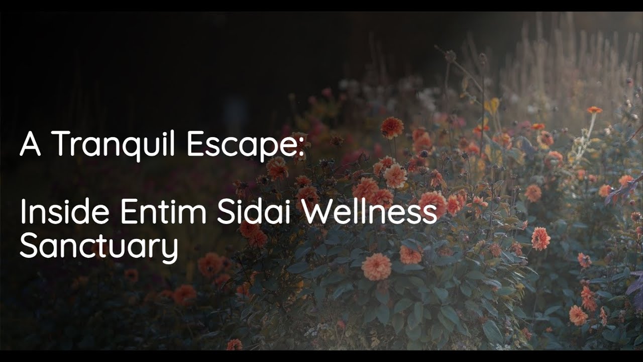 A Tranquil Escape: Inside Entim Sidai Wellness Sanctuary