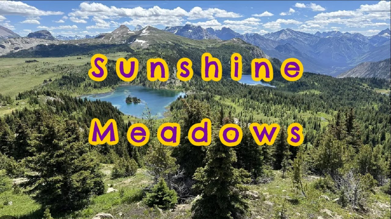 Sunshine Meadows: Banff's most underrated area