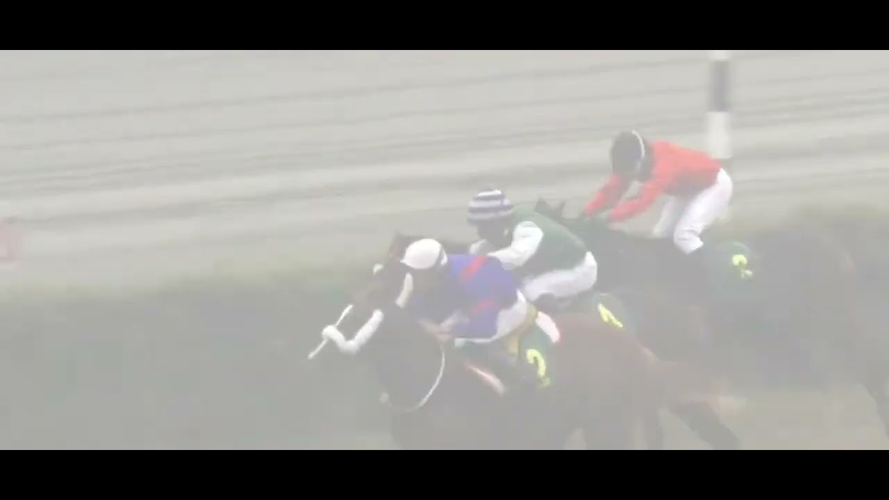 5th Race Syed Hassan Mehmood New Year Cup Winner Hi Volt Ridden By Awais Anjum Trained Rashid Lateef