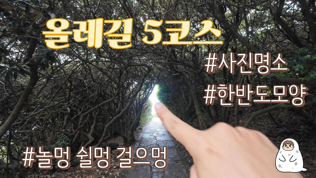 폭우 뒤에 찾아온 절경, 그리고 20년 만에 길바닥에 주저앉은 사연... | 제주 올레 5코스 브이로그 (남원~쇠소깍)