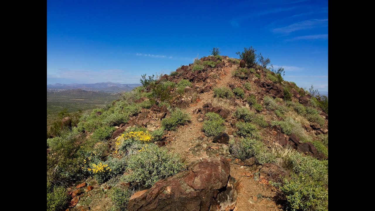Phoenix Sonoran Preserve Hike - Phoenix, Arizona