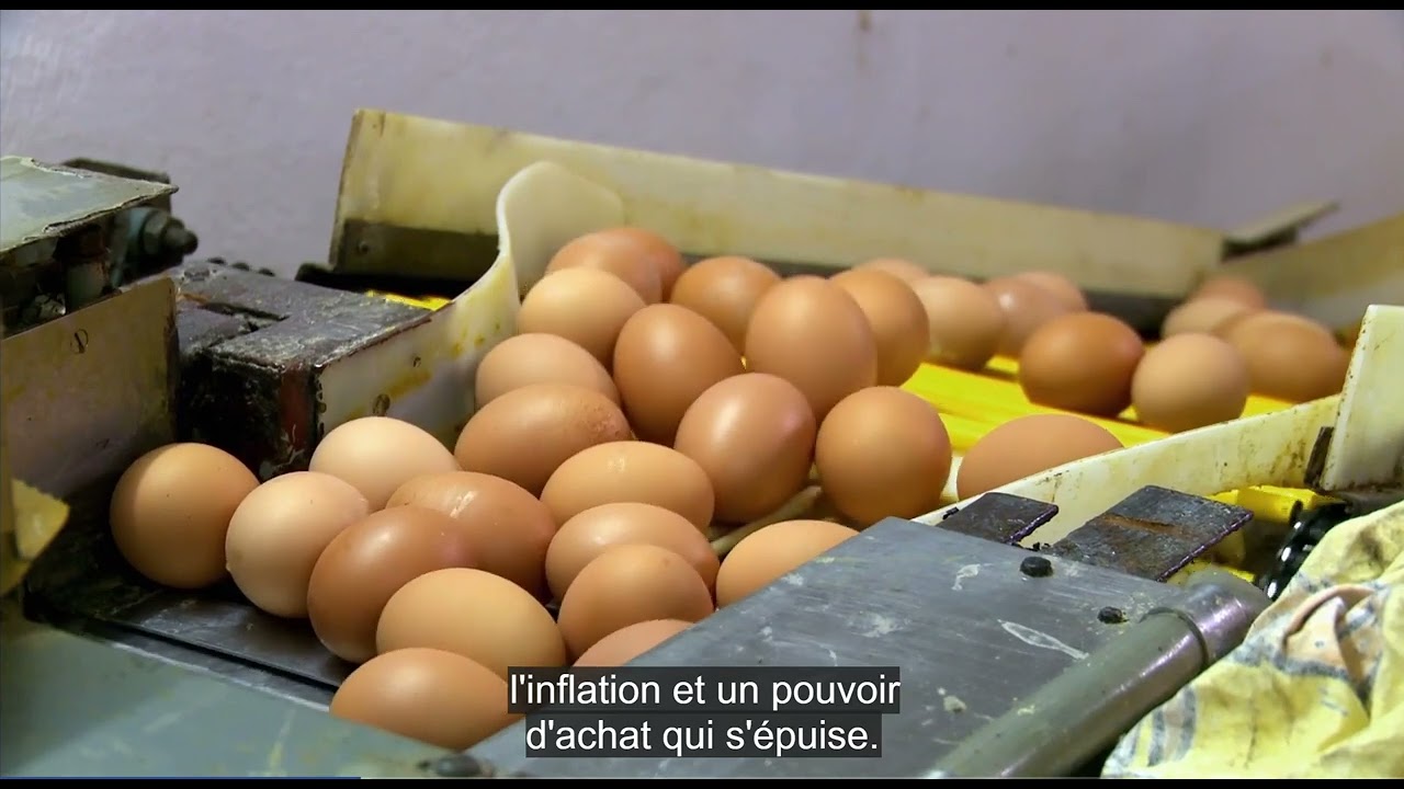 Reportage Trends Z sur l'industrie alimentaire wallonne