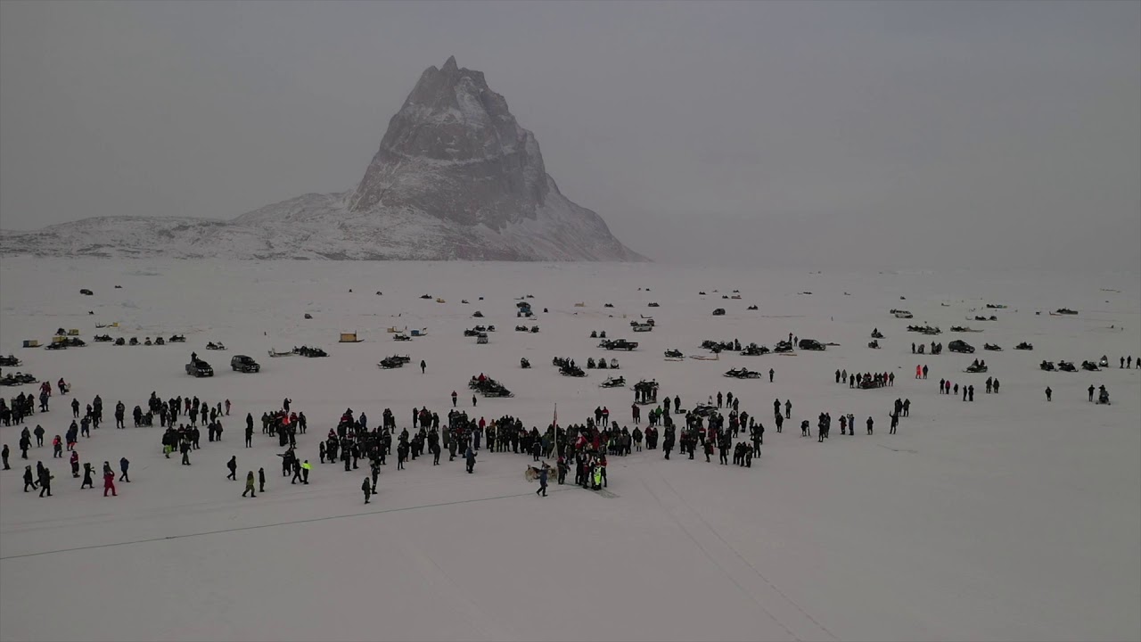 Qimussimik Anngunniunneq