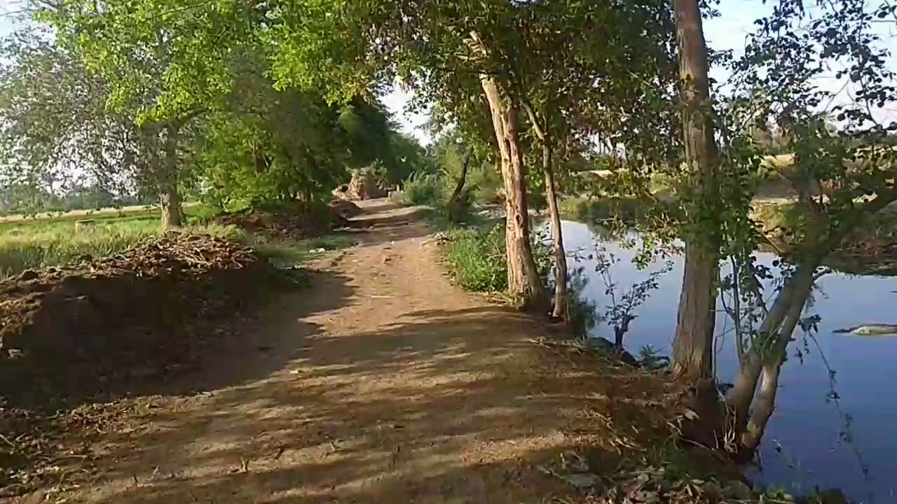 تعرف على شريكك في أرضك (كمرة) | احدا طريق تجهيز السبخ البلدي المعالج بالسماد الحيوي