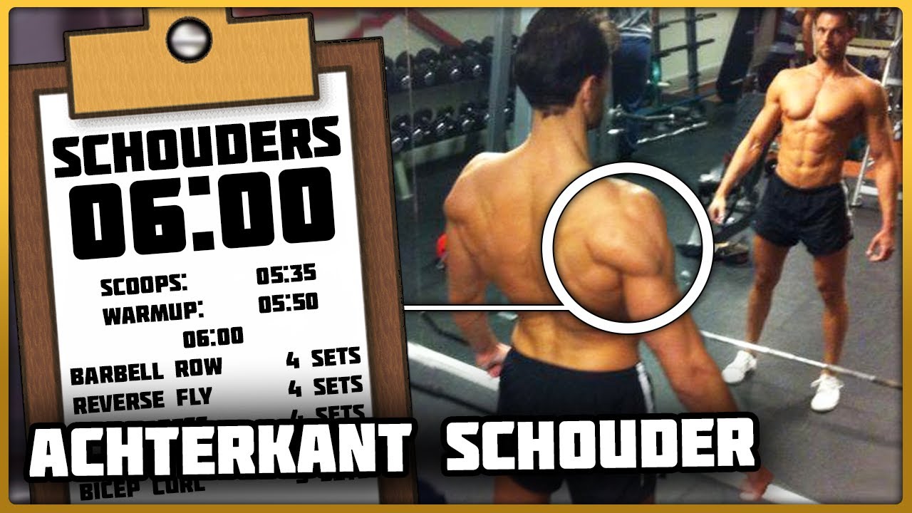 Kweek Grote Ronde Schouders