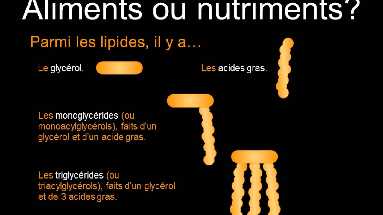 Les macromolécules