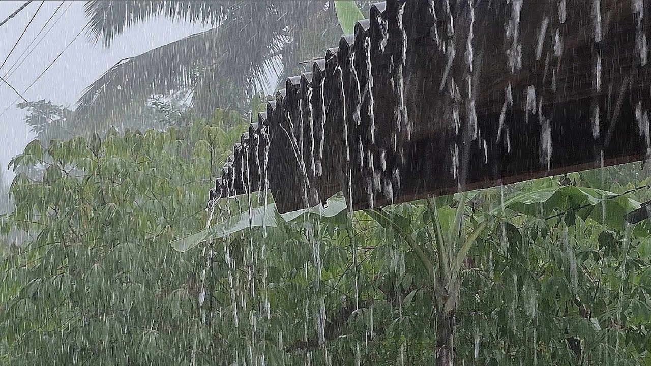 Super Heavy Rain Sounds 🌧️ Fall Asleep Fast, Deep Sleep & Insomnia Relief