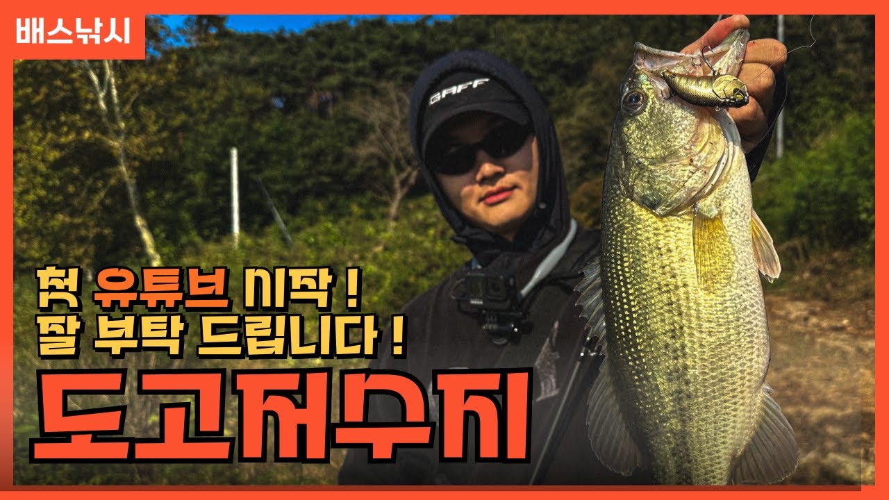 도고저수지 배스낚시 [4K]
