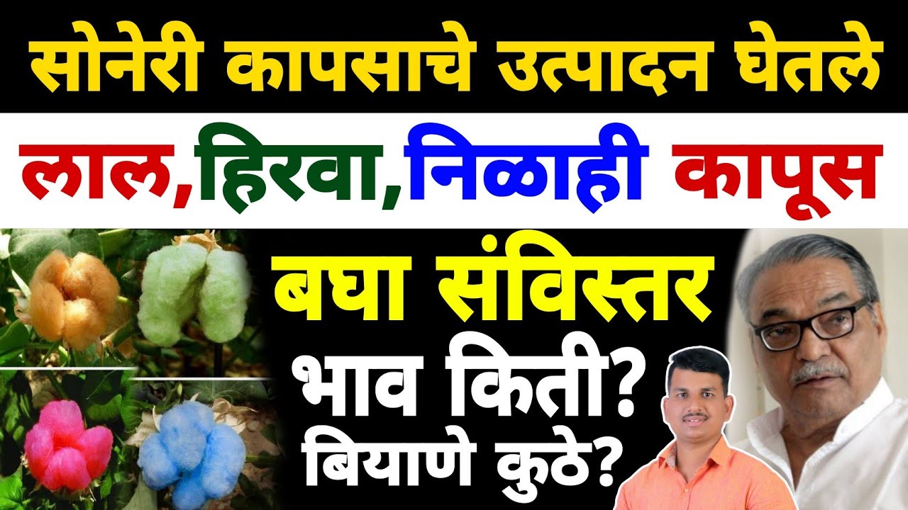 महाराष्ट्रात नैसर्गिक रंगीत कापूस उत्पादन | Dnyaneshwar  Kharat Patil