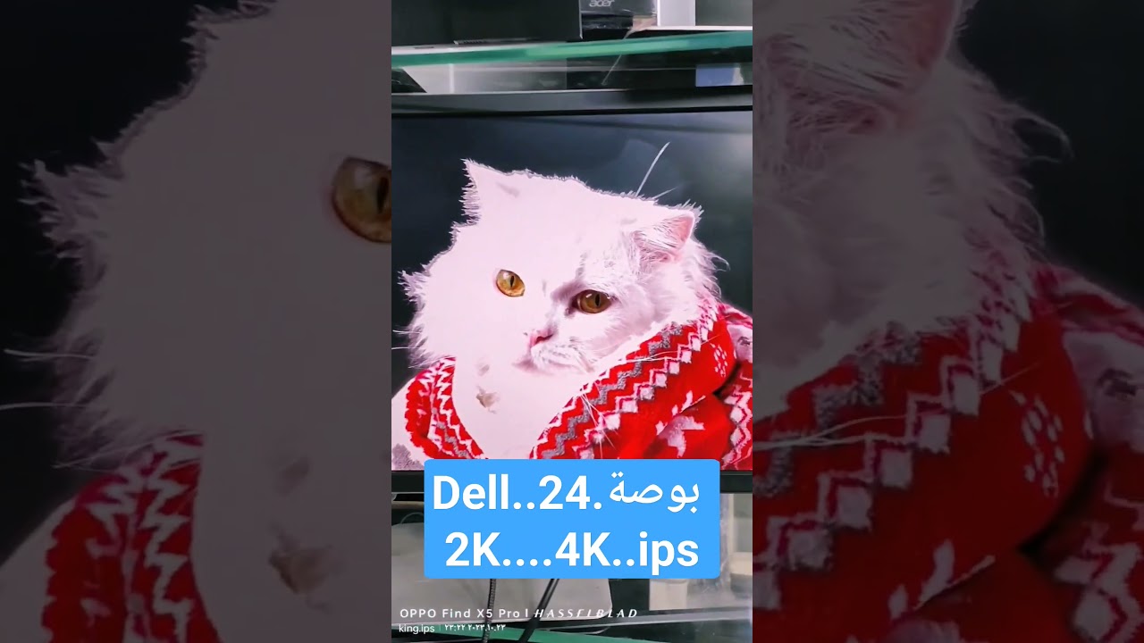 24.بوصة .2k.4k.Dell.p2416D..Dell p2415Q #اورانج #king