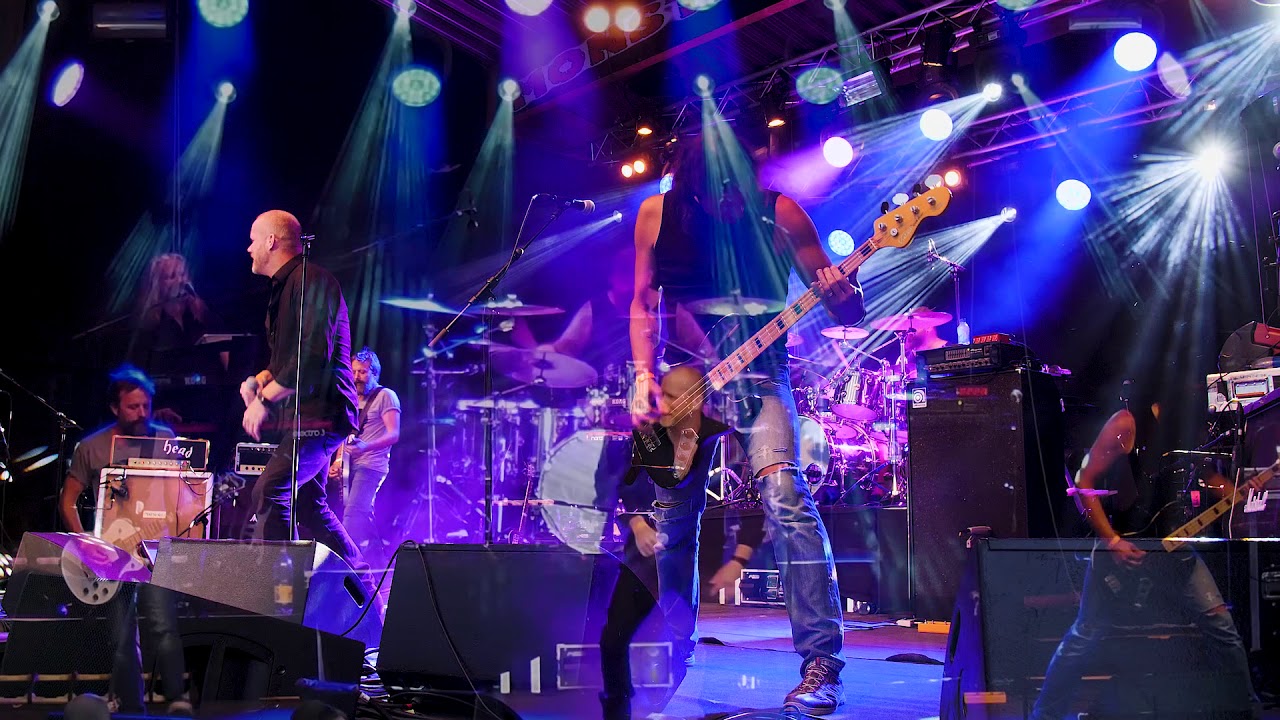 Maddog. Fool for your loving. Whitesnake