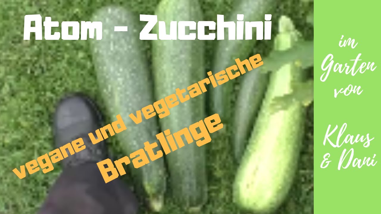 Sind große Zucchini giftig? Bratlinge vegetarisch / vegan