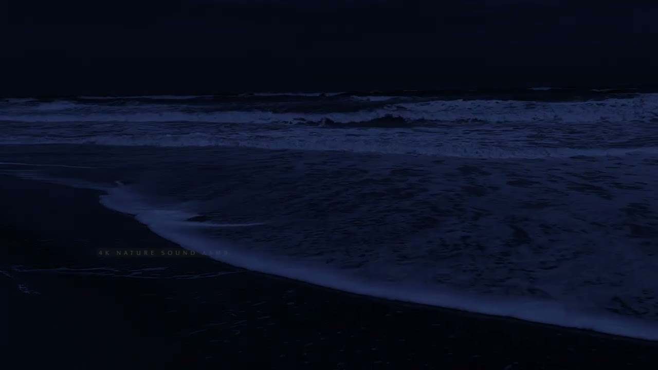 11 Hours of Ocean Sounds for Deep Sleep-Santa Monica Beach