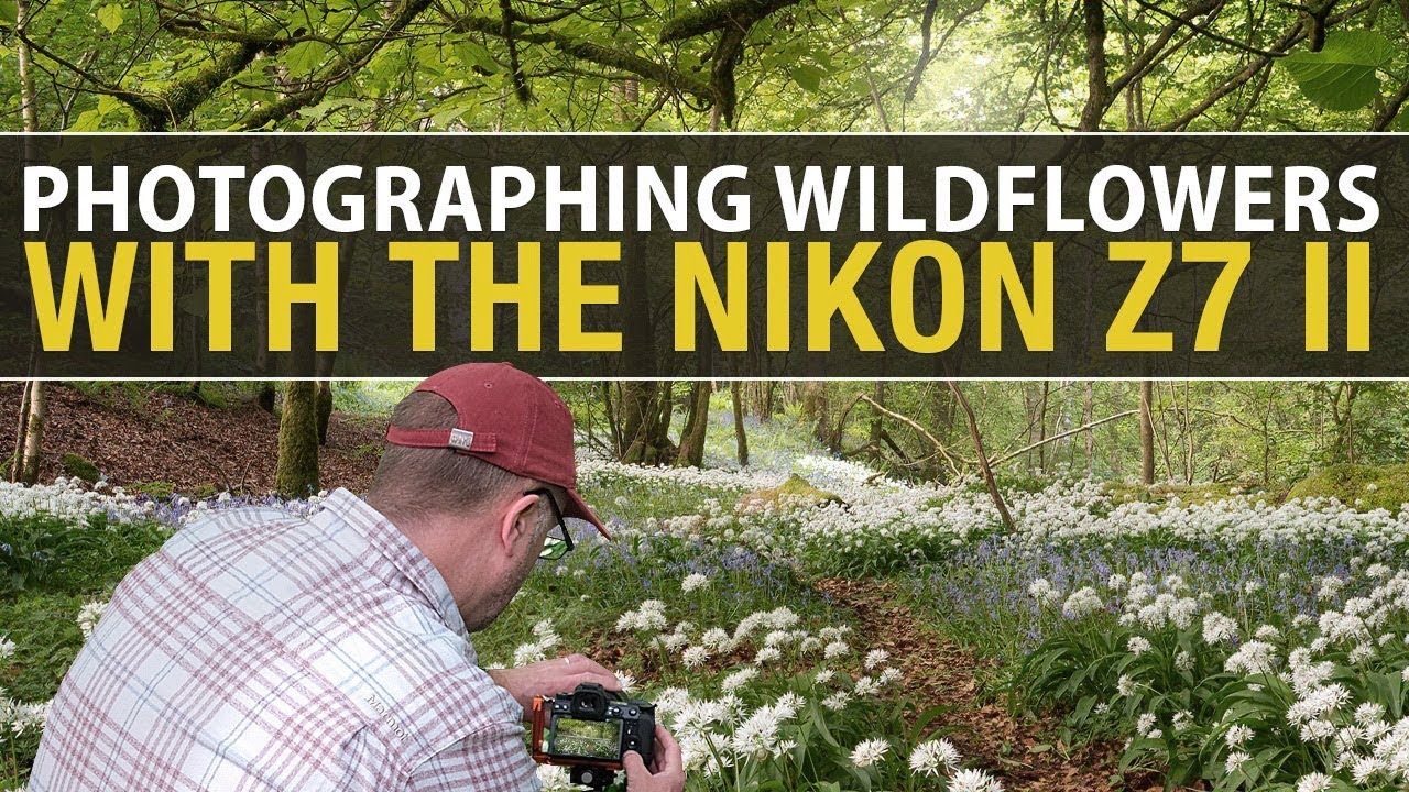 Wildflower Photography with the Nikon Z7 II