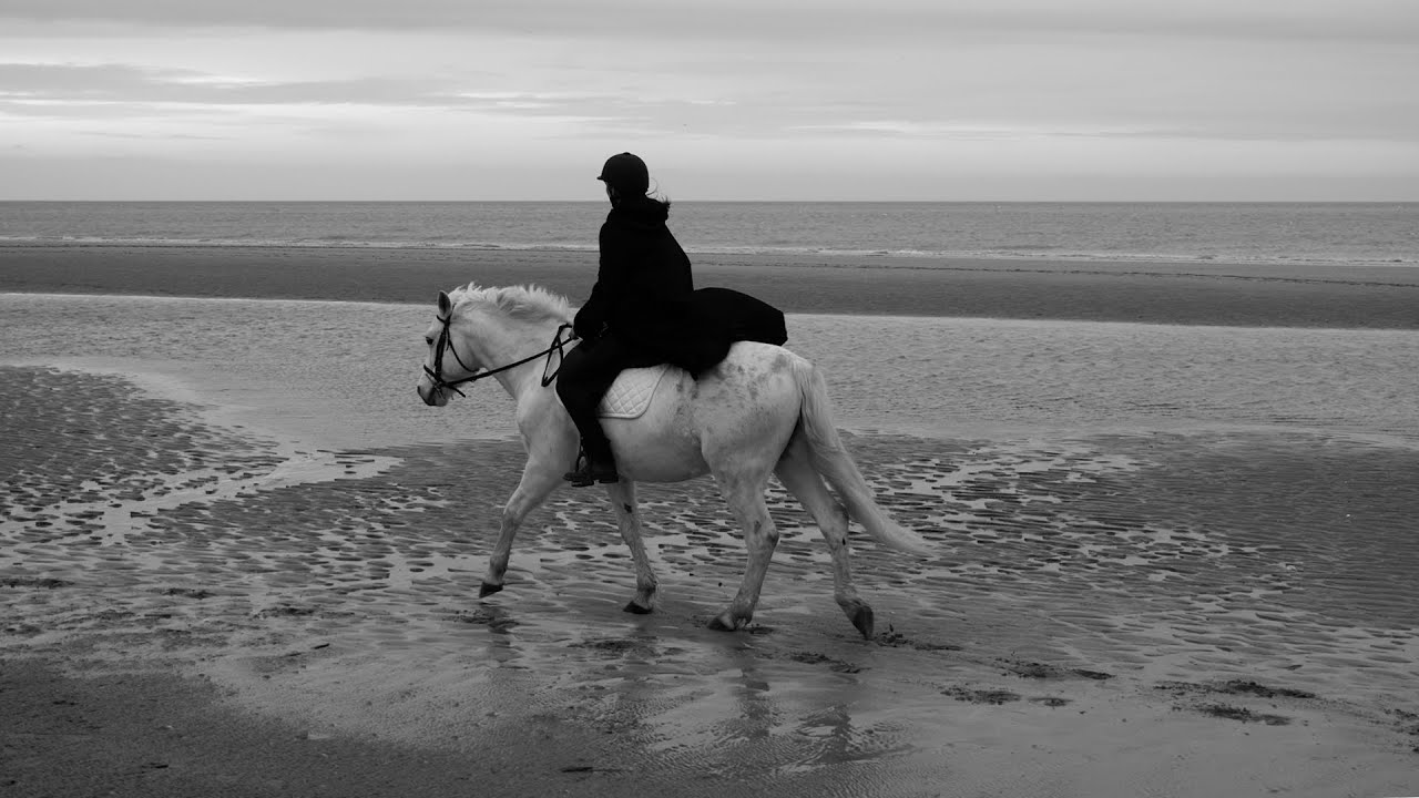 B.B. Jacques - Souvenir d'hiver