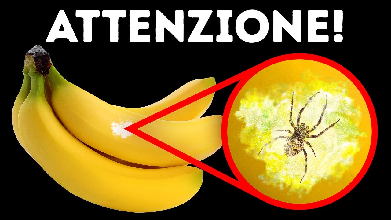 50 Consigli Che Possono Risolvere Situazioni Inaspettate