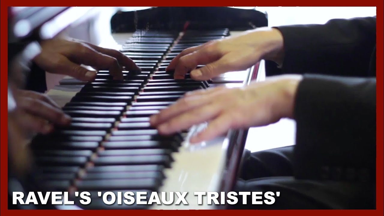 Ravel's 'Oiseaux tristes' | Andreas Boyde