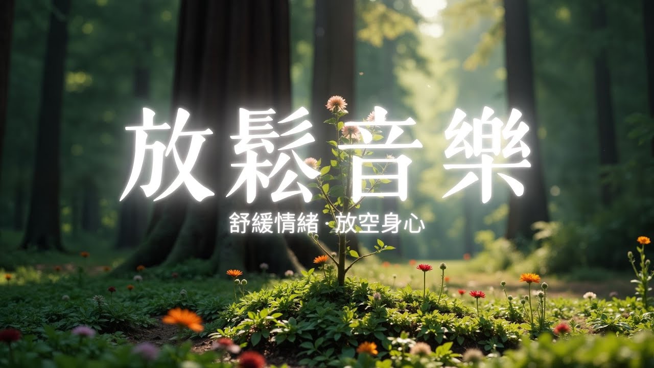 【深度平靜】釋放壓力與情緒重量的療癒鋼琴旋律！帶你回到內心平靜 🌿 翡翠森林 4K 清晨薄霧森林｜放鬆身心、冥想沉澱、穩定情緒、深層舒壓