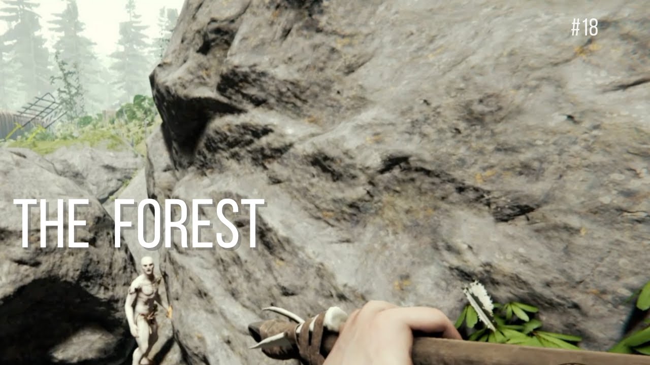 🌳 #18 Neue Einstellungen, neues Glück!