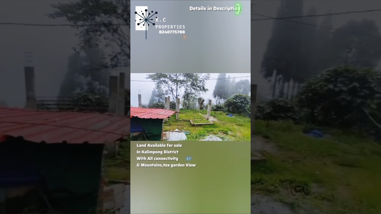 Tea garden, Mountains View Land Available for sale in #kalimpong  with all connectivity