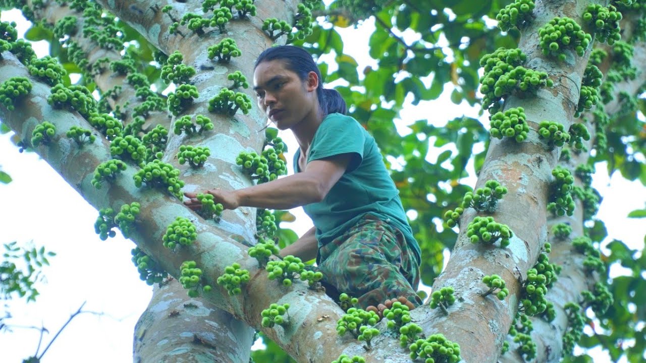 Harvest forest fruits, bring them to the market to sell, survival alone