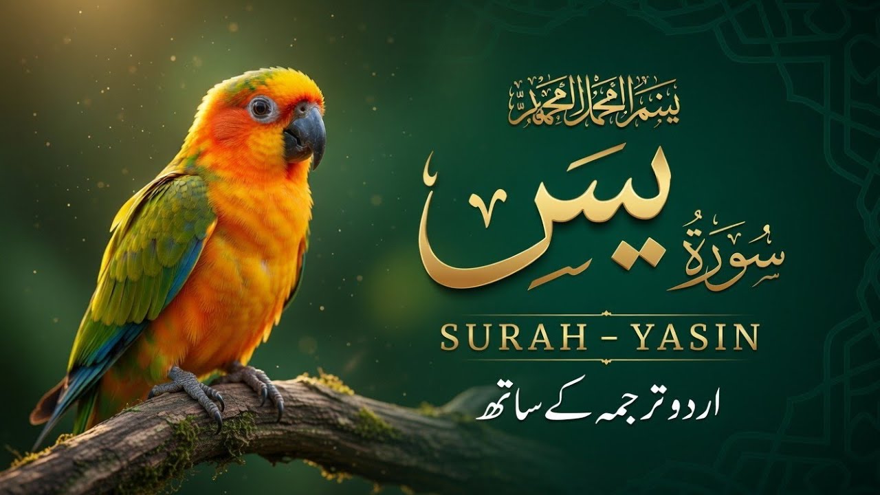 Surah Yaseen with Urdu Translation | EP 186 | Beautiful & Soul-Soothing Quran Recitation | Al Muqra