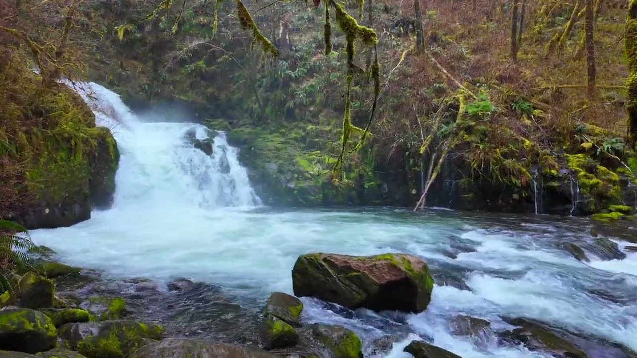 Another forest walk along waterfalls in Oregon — 13th March 2024