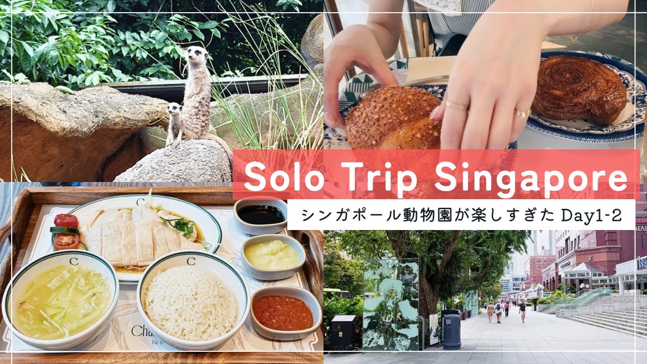 【海外一人旅】3泊5日シンガポール旅行🇸🇬#1｜Orchard/Chatterbox/Night Safariを満喫