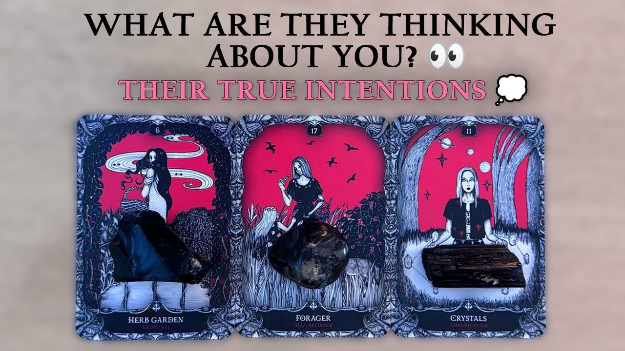 🖤✨ Their True Intentions & What They’re Really Thinking About You ✨🖤 |  Pick A Card 💭 Love Reading