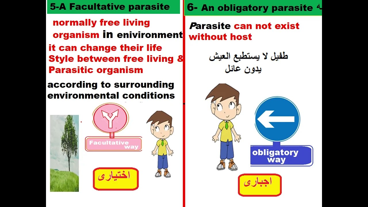 Parasitology Infection module part 1 -2026