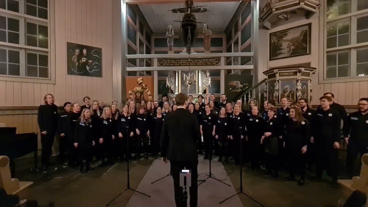 Sir Duke - Live A Cappella Cover