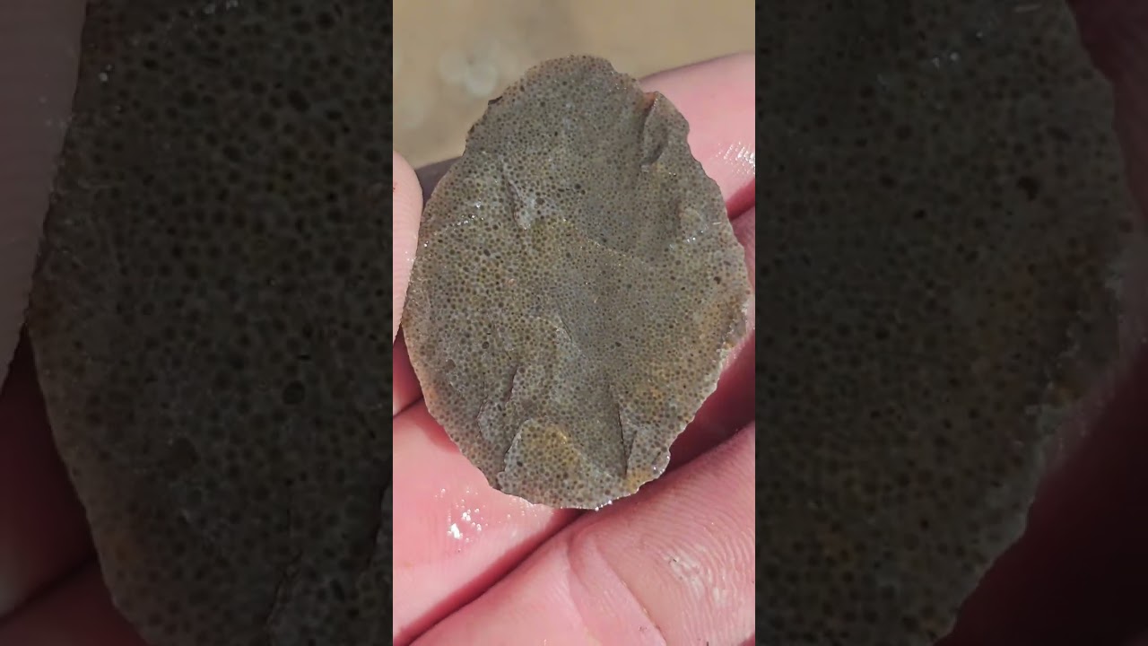Mudbank Arrowhead Hunting Missouri September 2025
